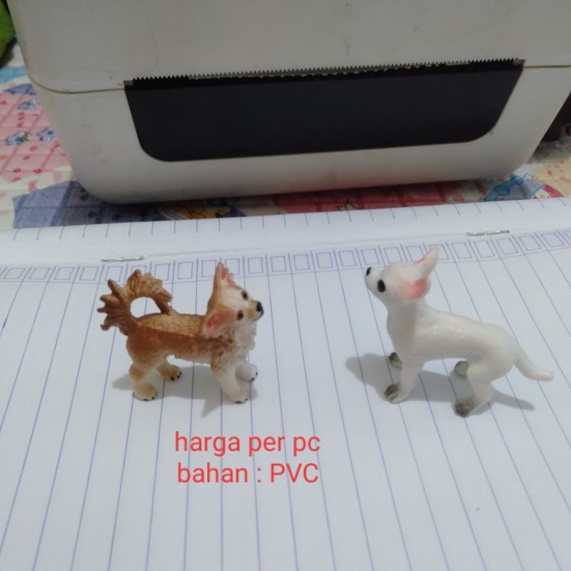 Miniatur Anjing Chihuahua