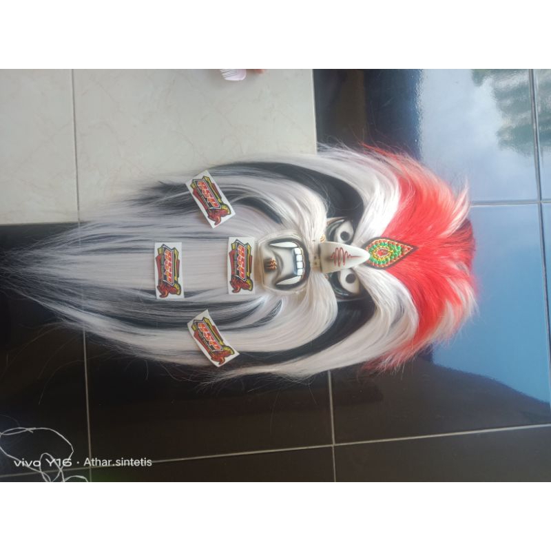 bujang ganong jambul merah