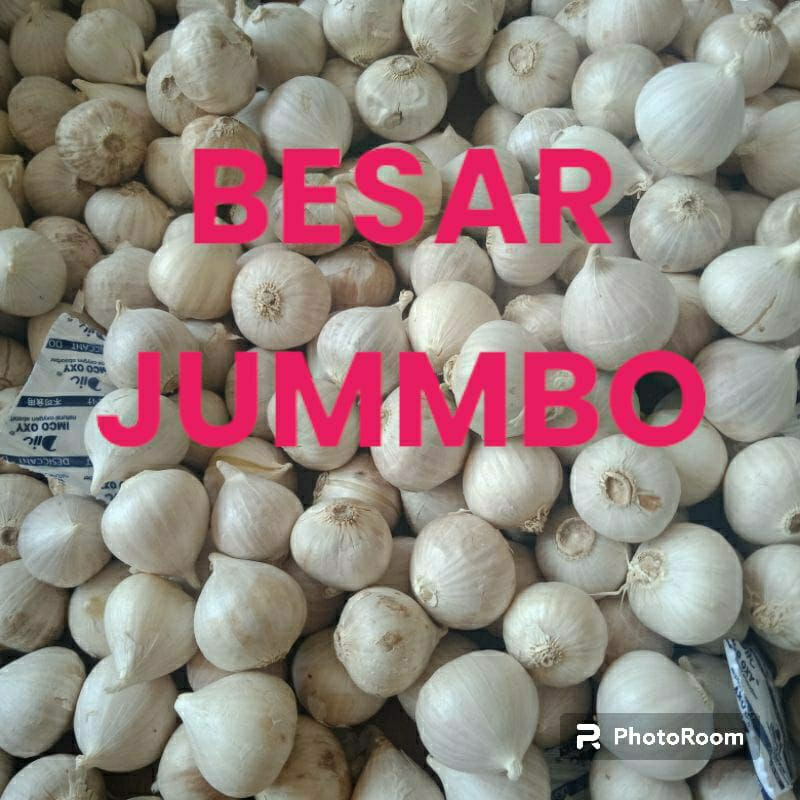 

bawang putih tunggal jumboo 500 gram/bawang lanang