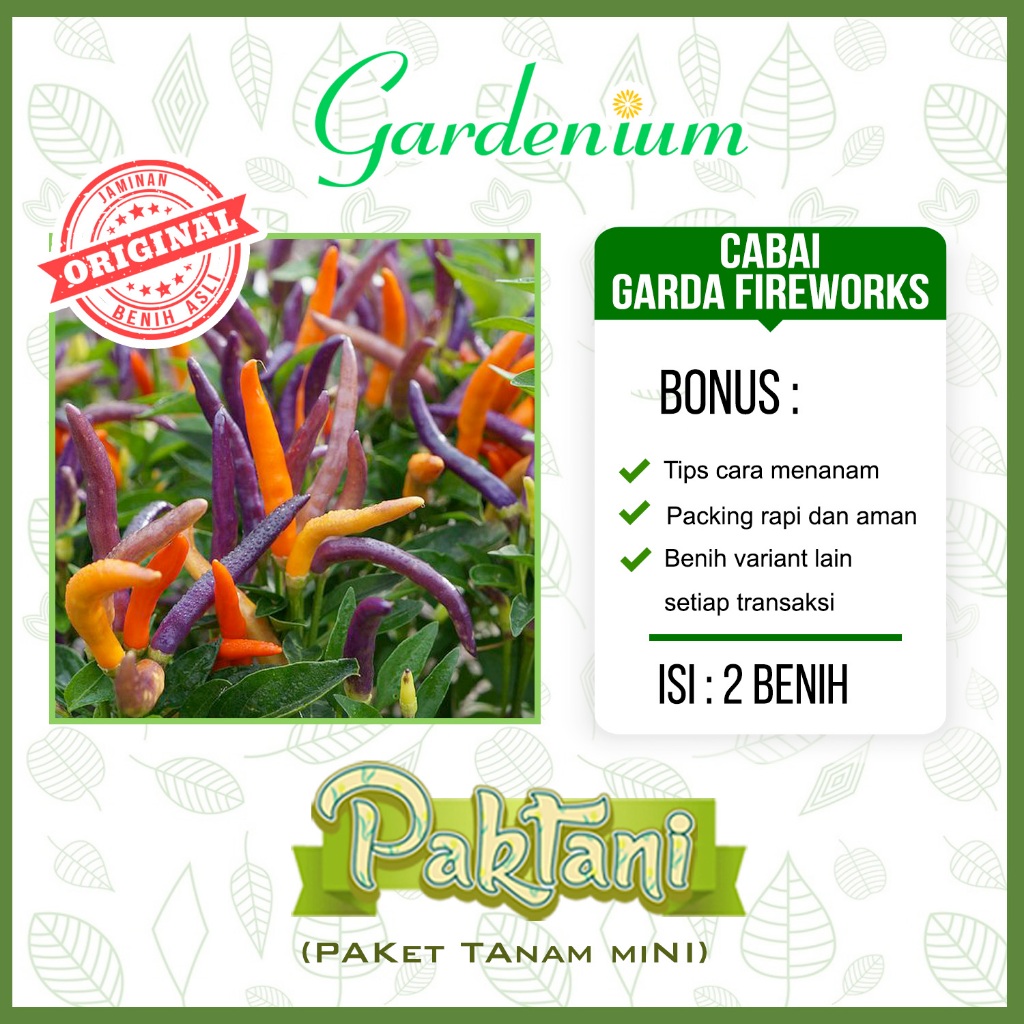 2 Benih Cabai Pelangi Garda Fireworks Tanaman Cabe Hias Ornamental Paktani