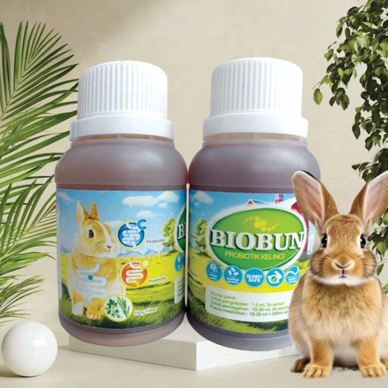 BIOBUN - Probiotik Vitamin Suplemen Kelinci Hias Anggora Fuzzy Lop Holland Netherland Dwarf Kelinci 