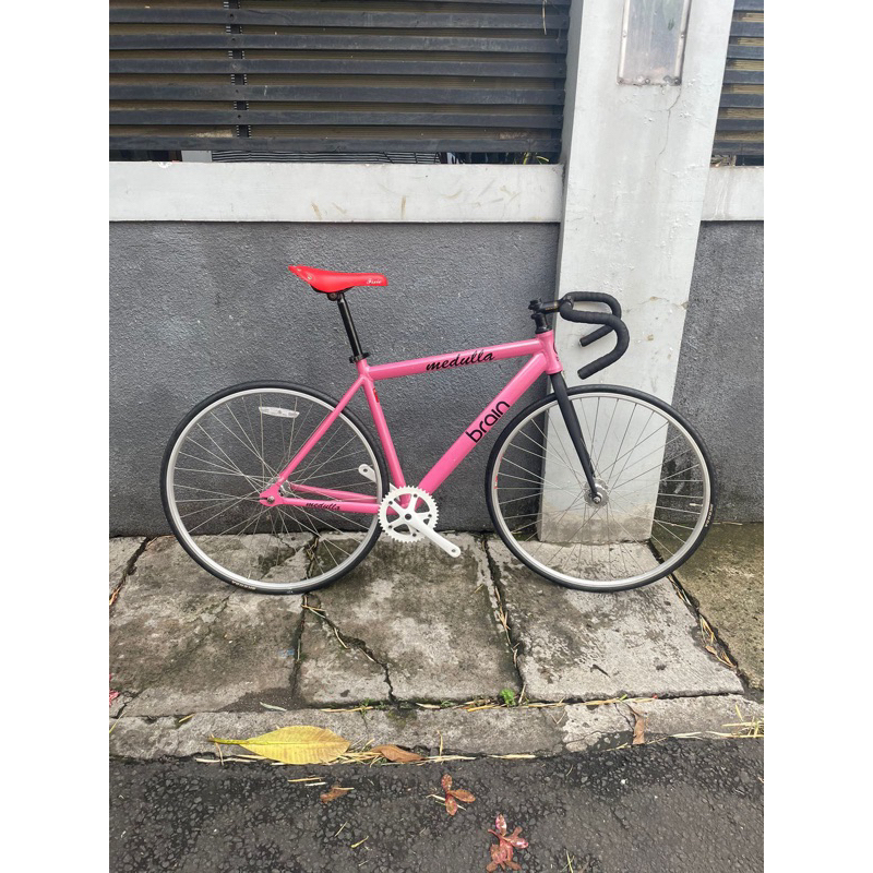 DP sepeda fixie fullbike brain medulla
