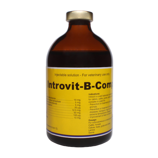 INTROVIT-B-COMPLEX KOMBINASI VITAMIN B SEIMBANG DAN ESENSIAL   Introvit-B-Complex / Injeksi Vitamin 