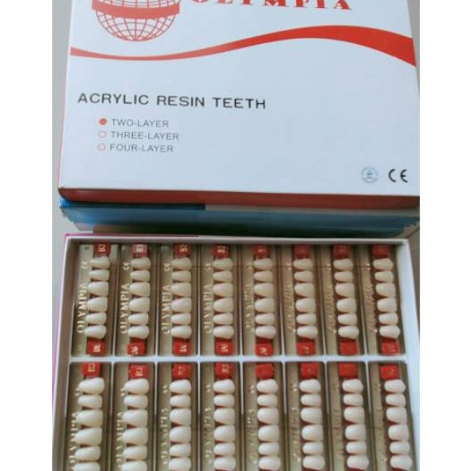 FG2 Gigi Palsu Olympia anterior depan  gigi tiruan resin teeth dental