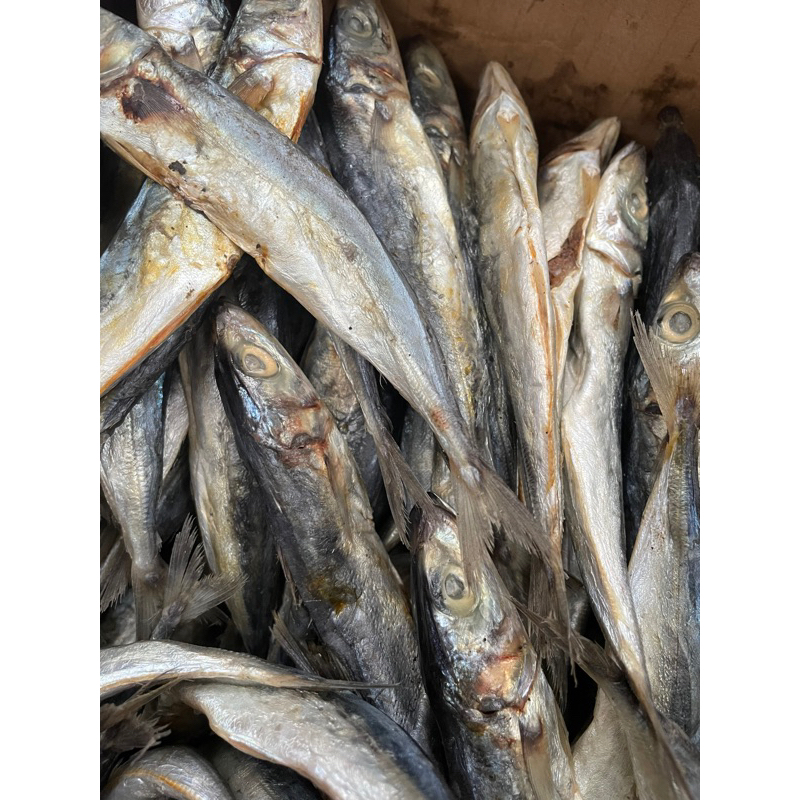 

250 gram gereh pedo - gereh pedho - ikan pedo - ikan pedho - ikan asin
