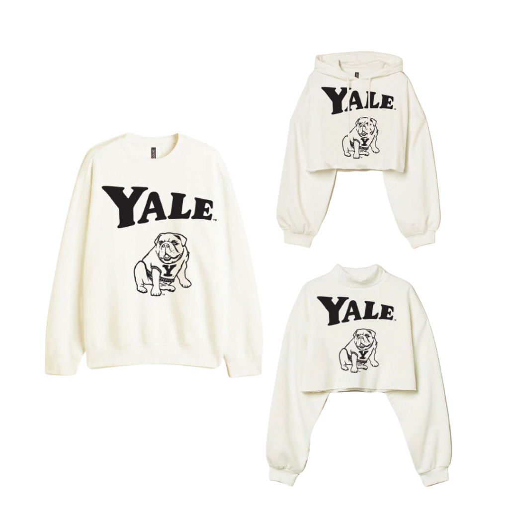 Sweatshirt Hoodie Crop H&M Yale