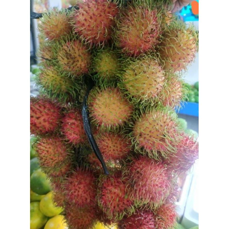 

buah Rambutan 2 ikat