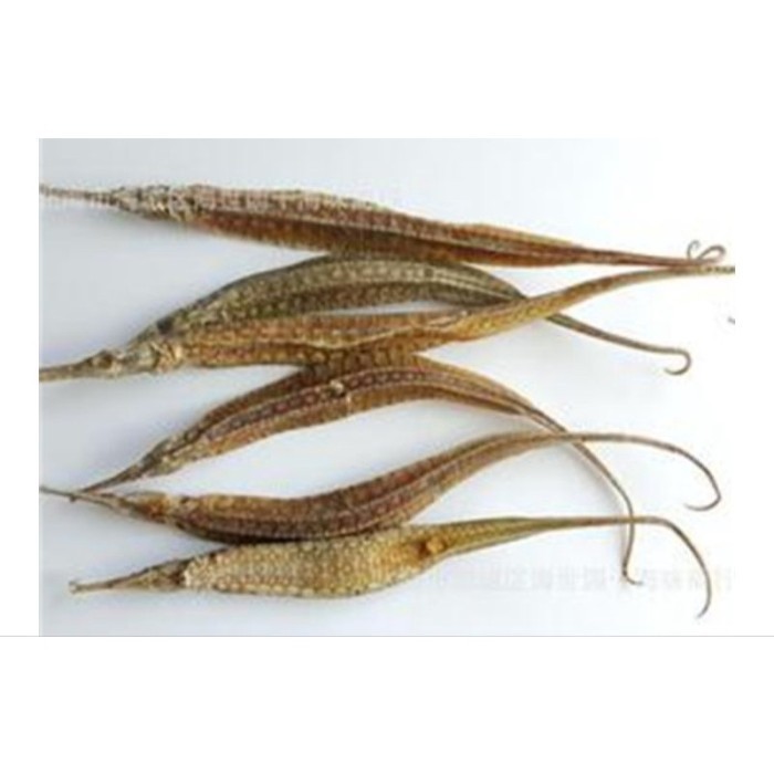 Naga Laut Hai Long Kering