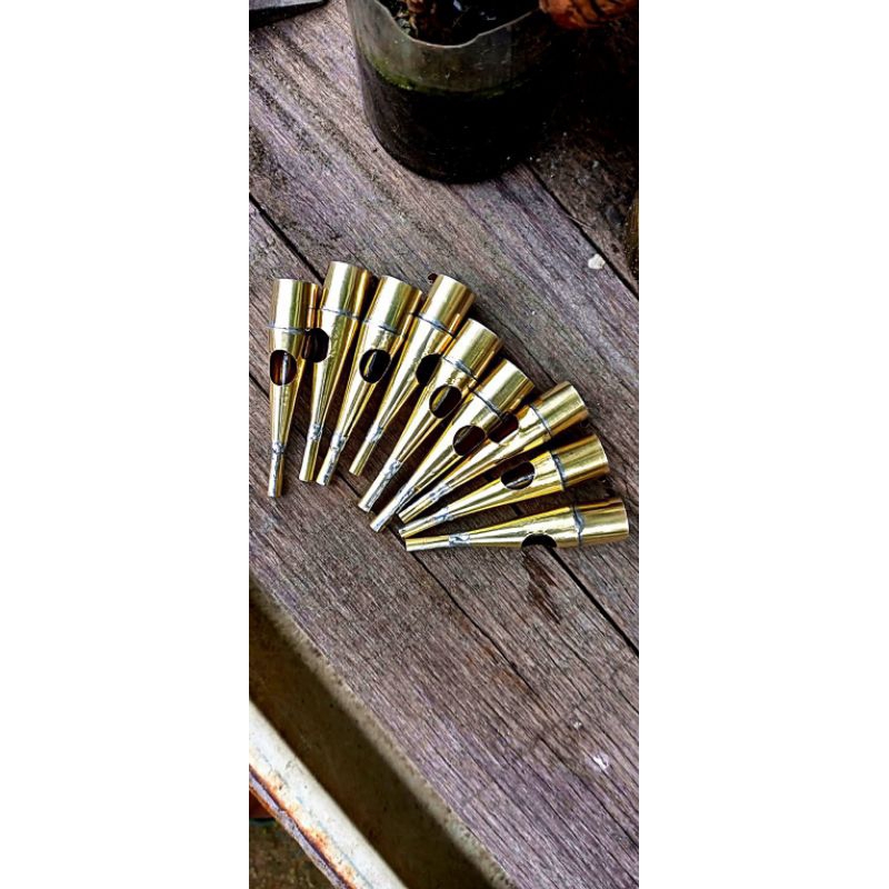 Terompet ayam hutan betina