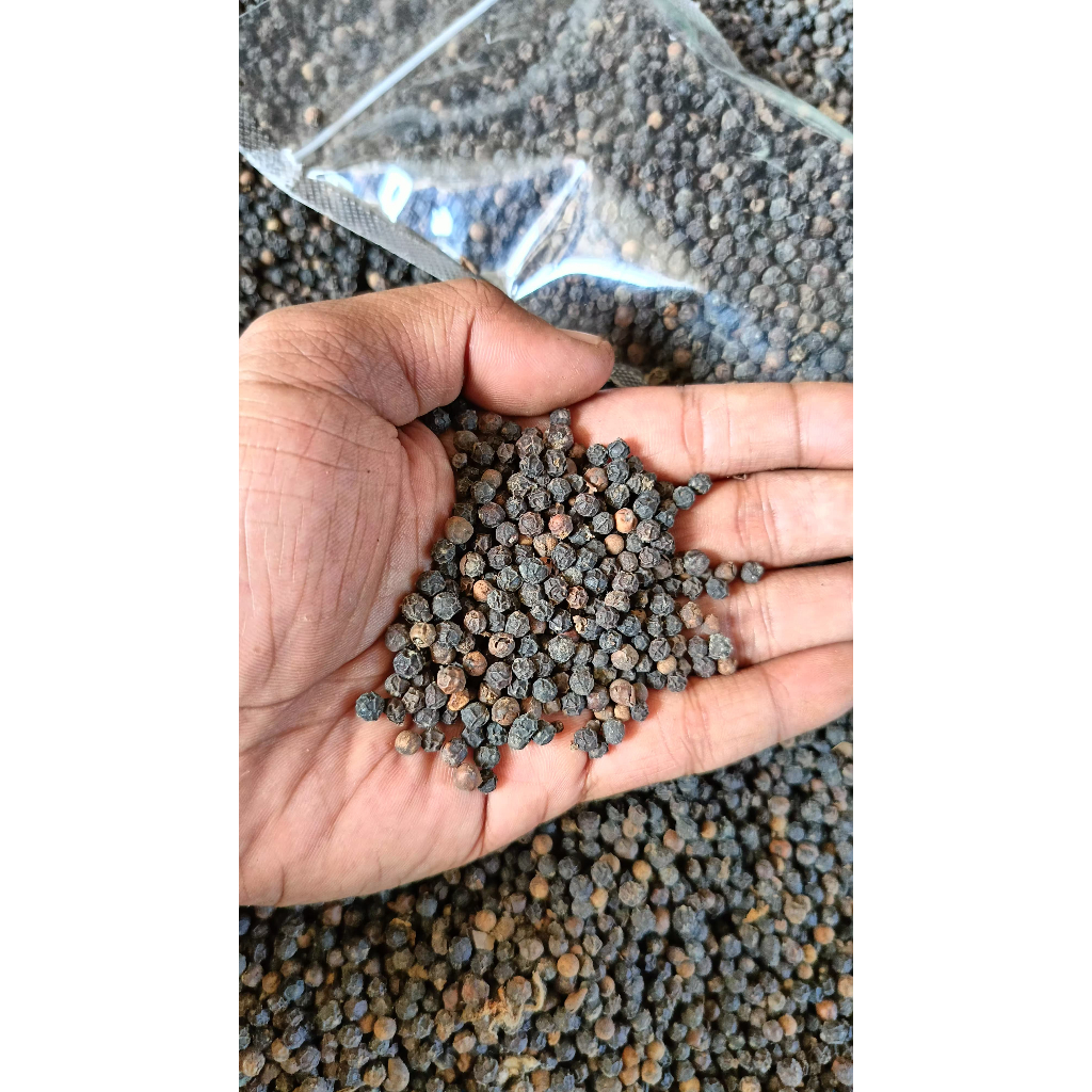 

Lada Hitam Biji (Whole Black Pepper)-500gr