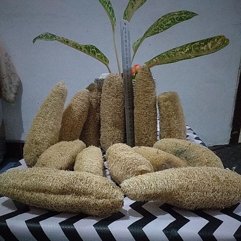loofah/ emes/spons mandi