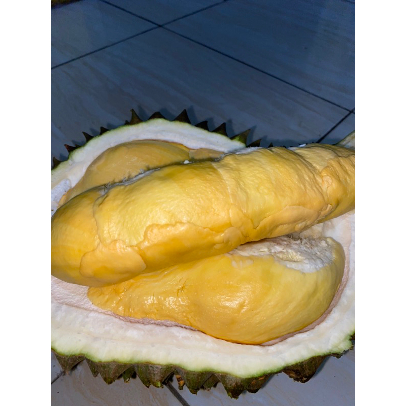 

durian bawor