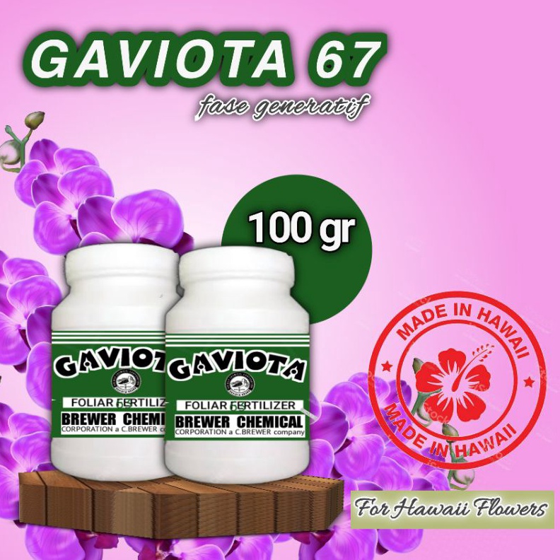 ART Y94C Gaviota 67 Pupuk Anggrek untuk pembungaan 1gr