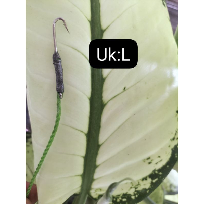 Pancing belut kuat 8kg tali tambang kail baja