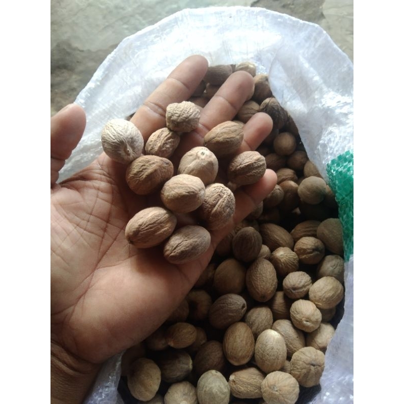 

buah pala murah berkualitas 1kg