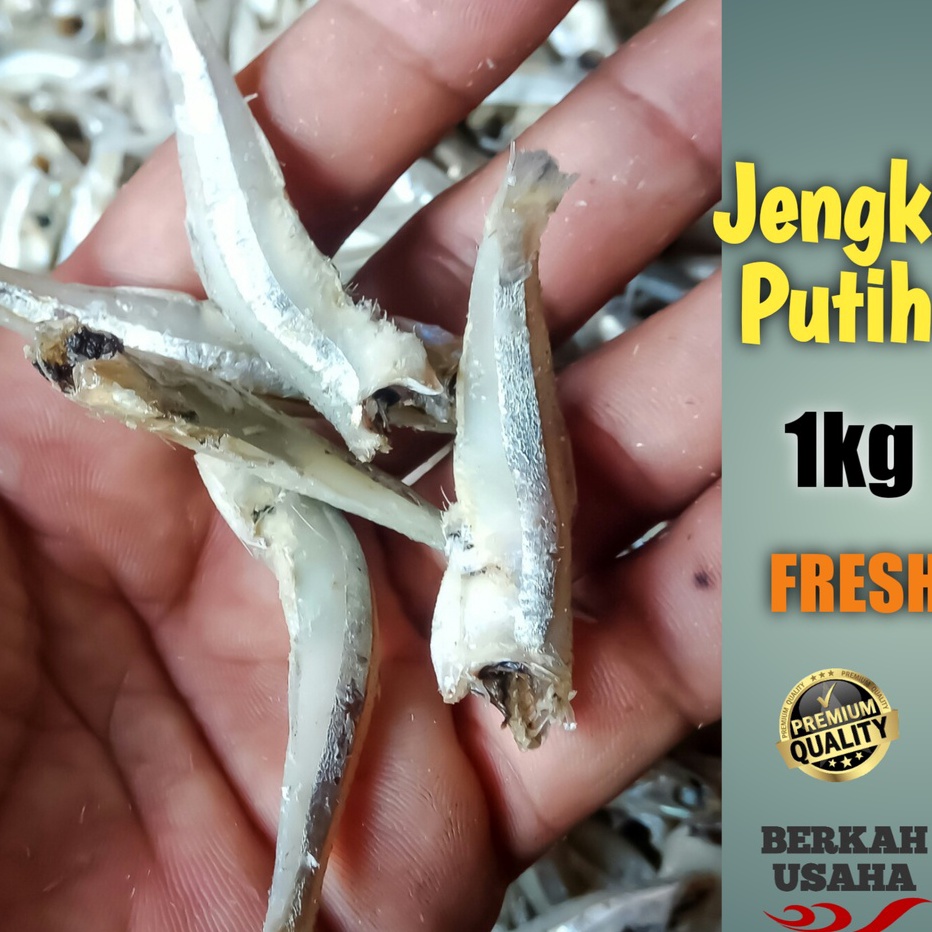 

Terjangkau IKAN ASIN TERI JENGKI PUTIH FRESH 1kg KERING TANPA KEPALA Murah Grosir Teri Medan super asli baby cumi asin kering jambal roti ikan asin tipis peda merah gabus kering