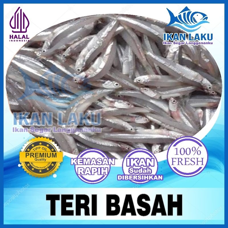 

PRODUK BARU!! IKAN TERI BASAH FRESH PREMIUM FRESH TERMURAH BERGARANSI IKAN LAKU IKAN SEGAR IKAN BEKU