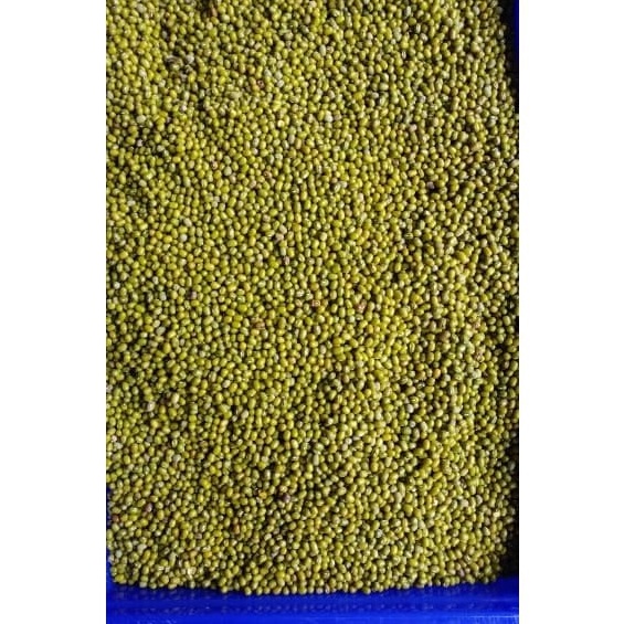 

KF7 kacang hijau yulek kacang ijo bening per 5gr