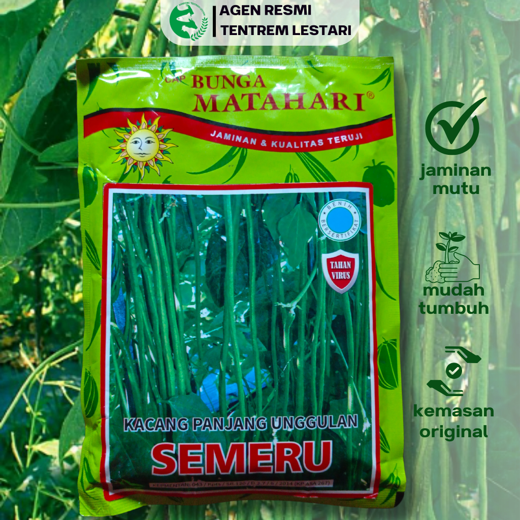 Benih Kacang Panjang 100 gr SEMERU Cap Bunga Matahari Lebat Simpan Lama