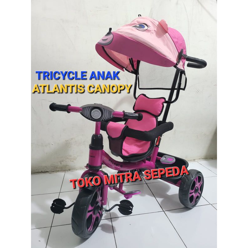 Sepeda Anak Roda 3 Atlantis Bear