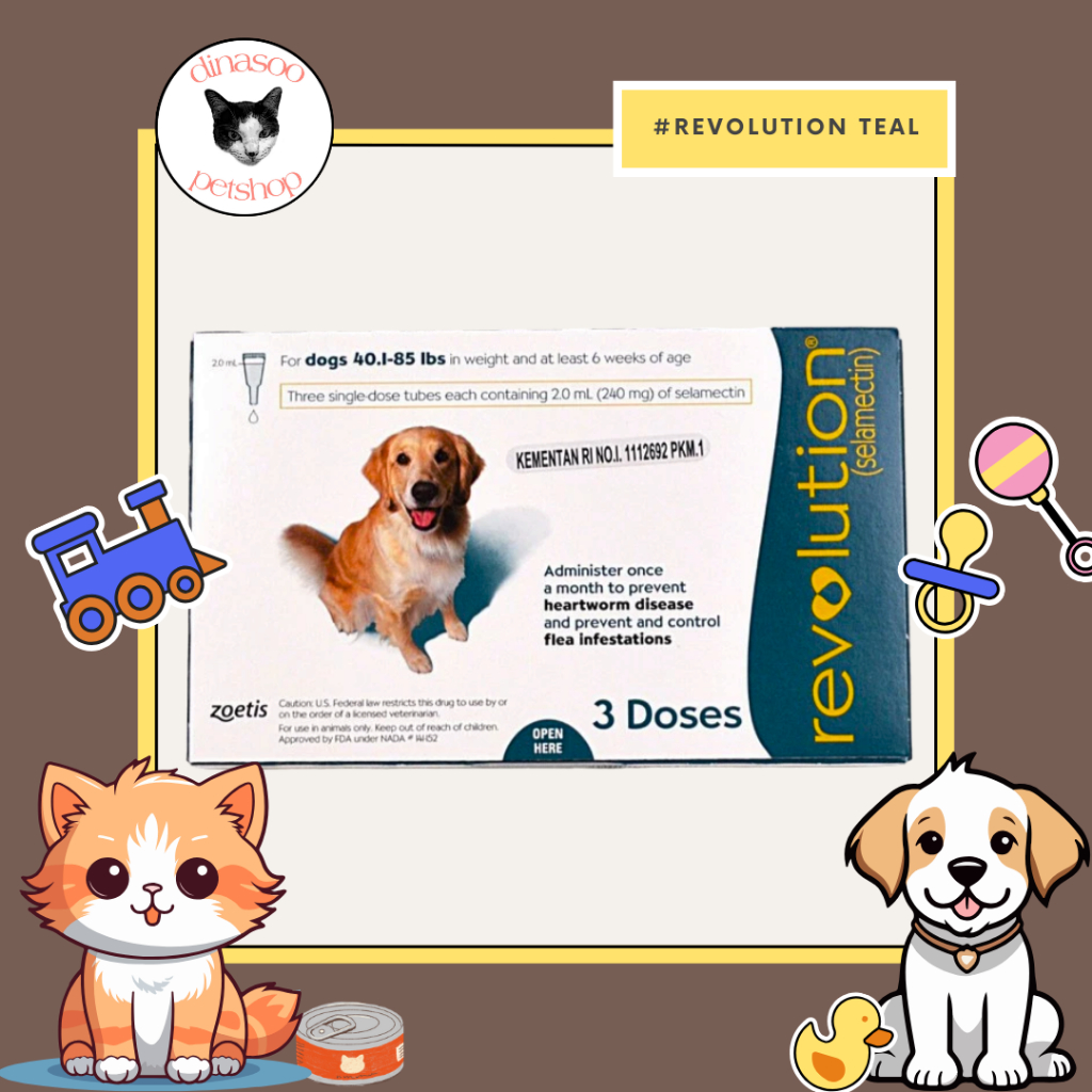 Revolution Teal obat tetes kutu anjing