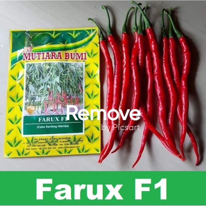 100 Biji Cabe Keriting Farux F1 | Benih Cabai Keriting Unggul | Bibit Cabe Keriting