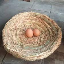 SARANG AYAM BESAR TARANGAN AYAM SARANG ITIK SARANG ANGSA TARANGAN JERAMI SARANG JERAMI BESAR