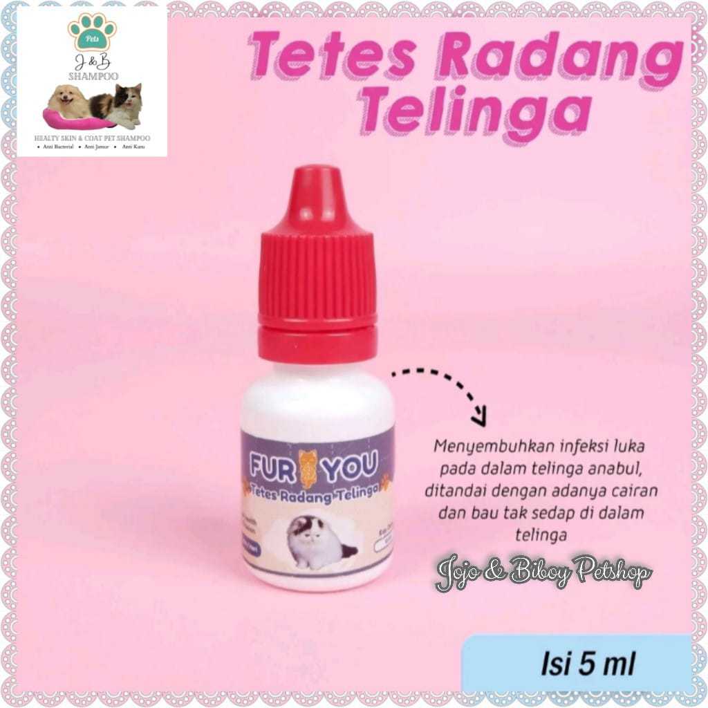 Obat Tetes Radang Telinga Kucing / Anabul Otitis Keluar Cairan dari Lubang Telinga