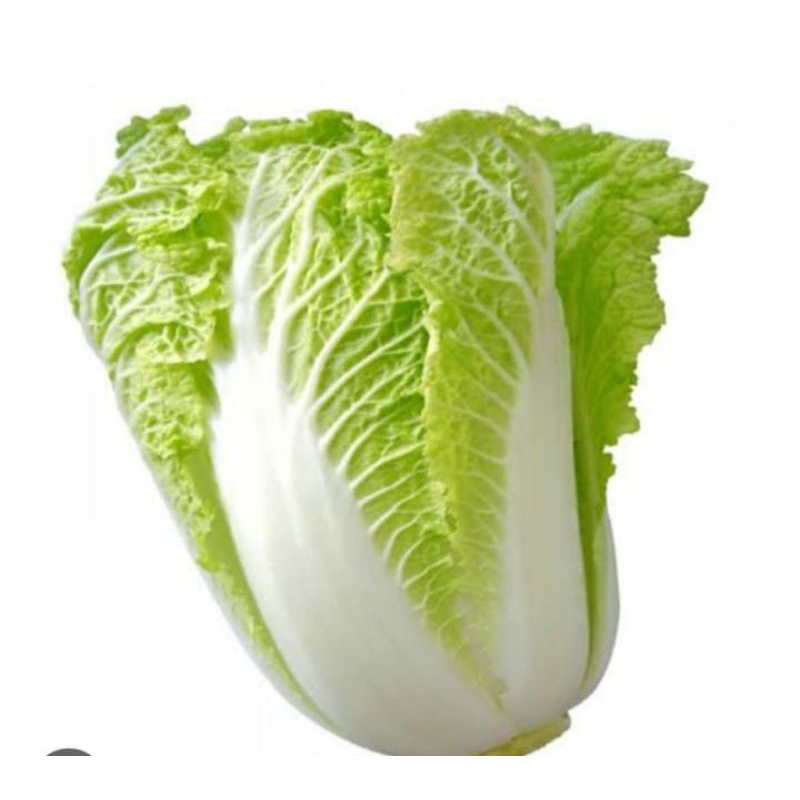 

SAYUR SAWI PUTIH /BIJI