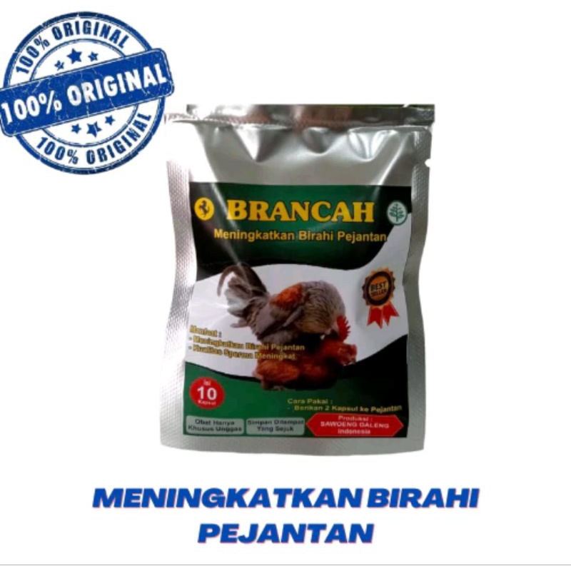 BRANCAH SAWOENG GALENG SACHET MENINGKATKAN BIRAHI AYAM JANTAN KAWIN