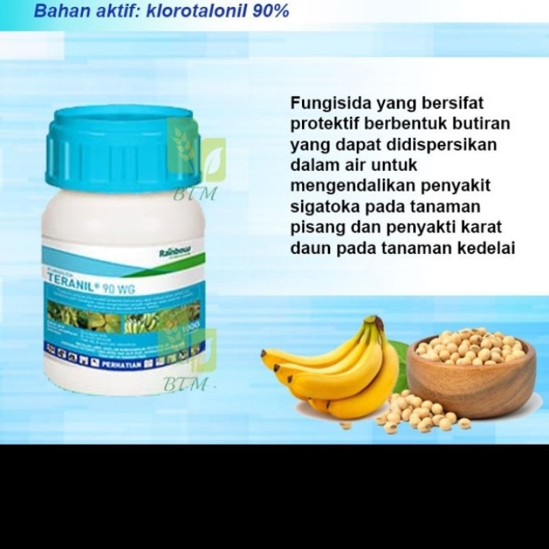 Fungisida TERANIL 90WG 350Gr bahan aktif : Klorotalonil 90%