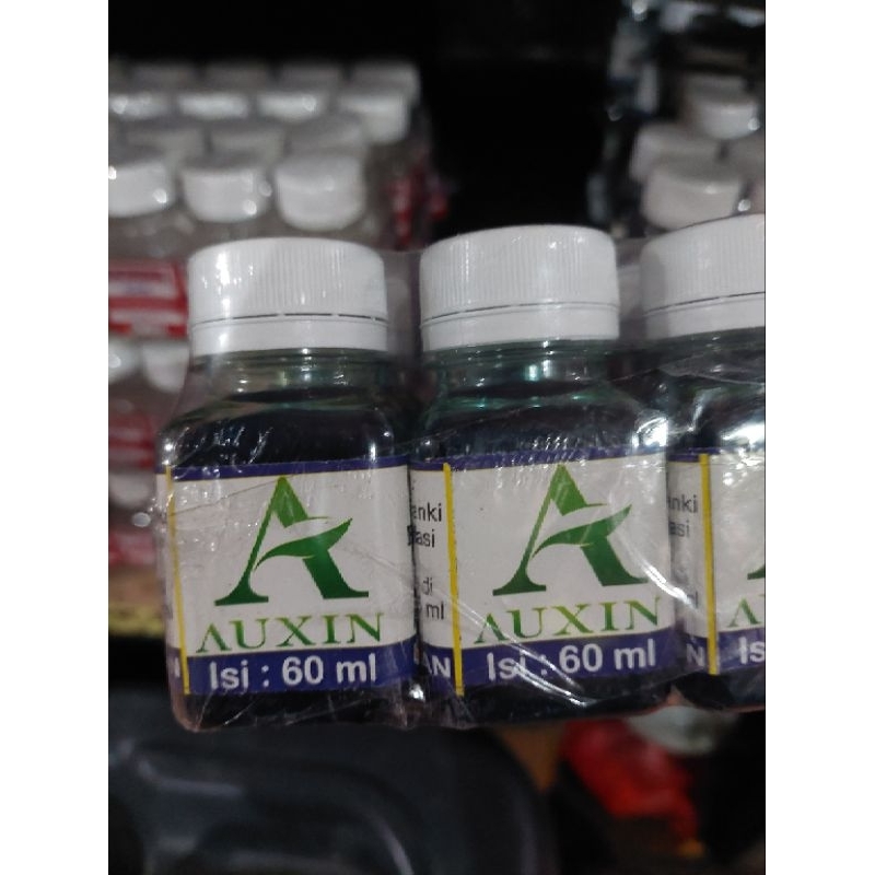 Auksin murni hormon perangsang akar tanaman auksin 60 ml