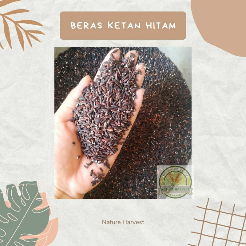 

Beras Ketan Hitam Eceran Untuk Bubur dll