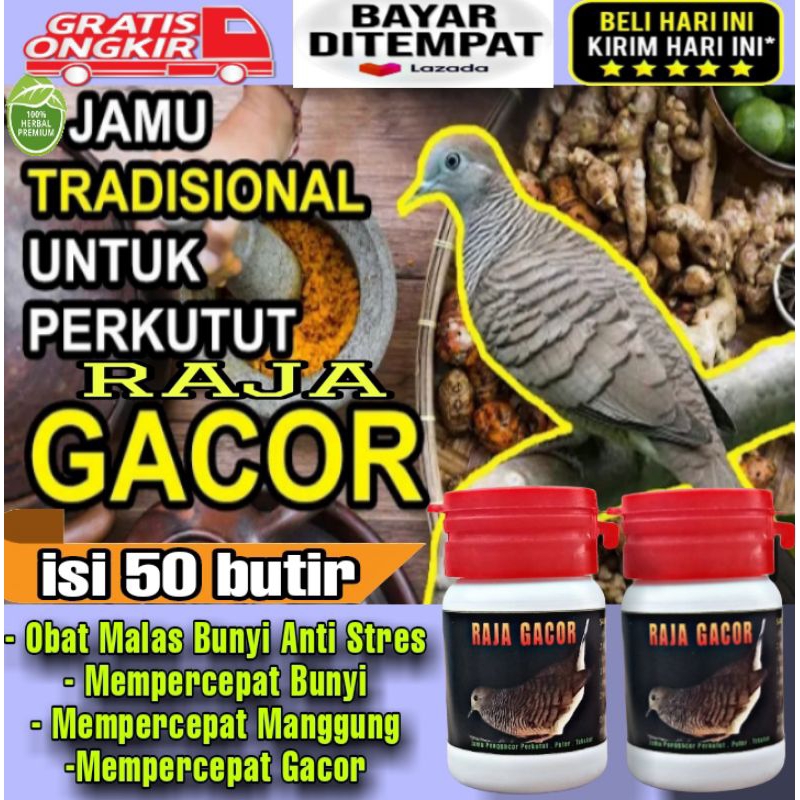 PROMO  JAMU PERKUTUT RAJA GACOR 50 PIL obat malas bunyi super gacor jago manggung bocor crystal pil 