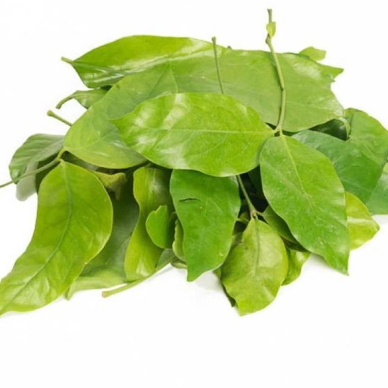 

daun melinjo segar 250g