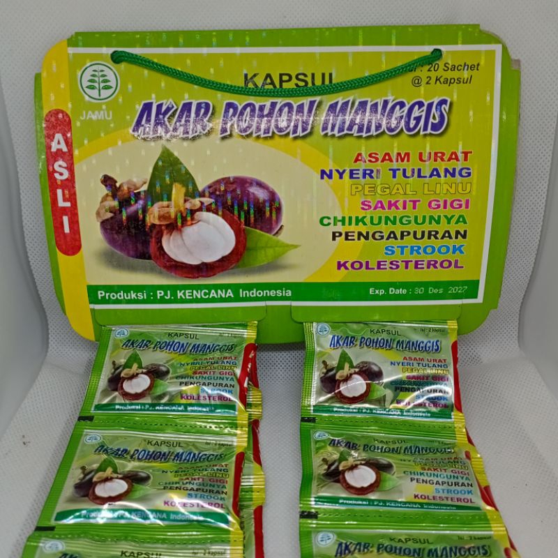 Kapsul Akar Pohon Manggis Original
