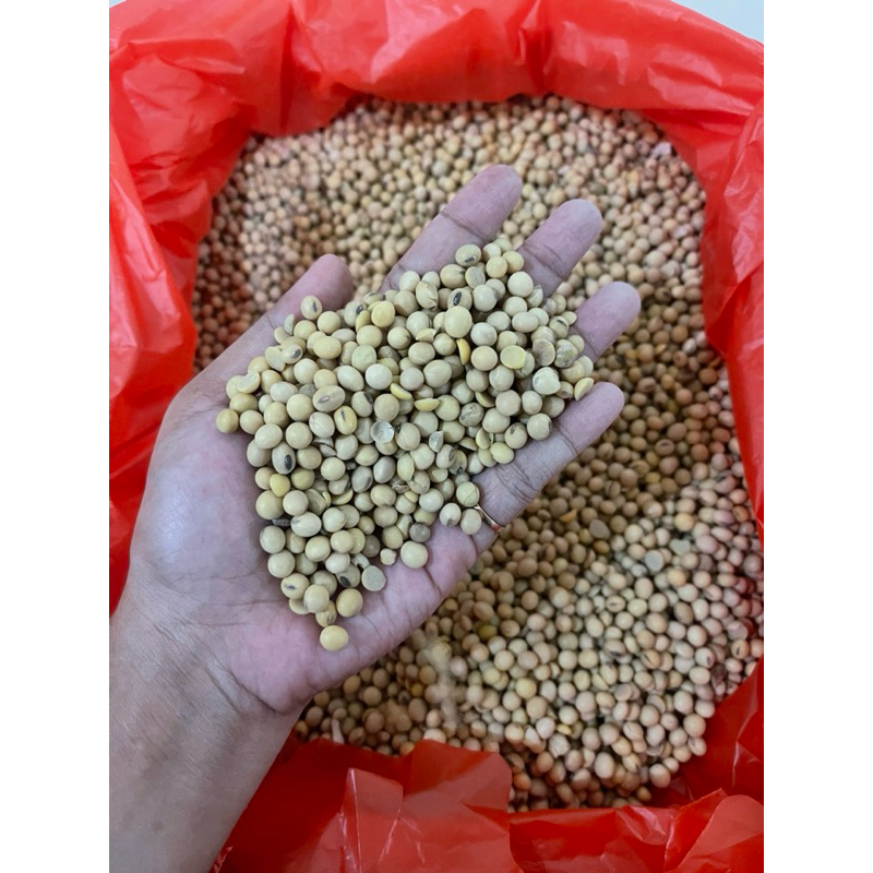 

Kedelai Impor 1000gram