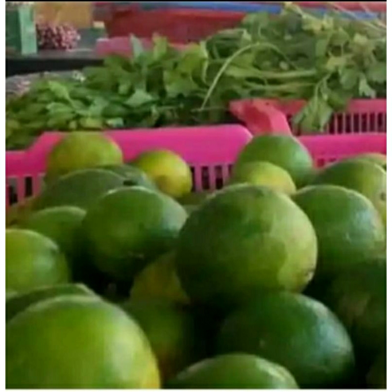 

Jeruk Nipis Per Buah Dekat Bintaro BSD Jakarta
