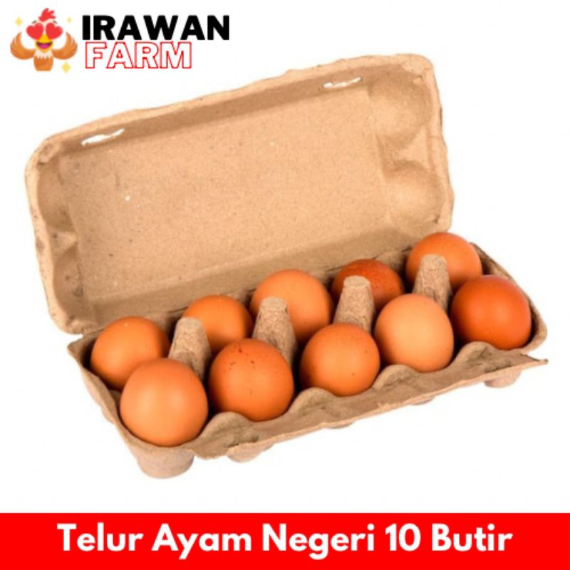 

TELUR AYAM HORN ISI 10 BUTIR