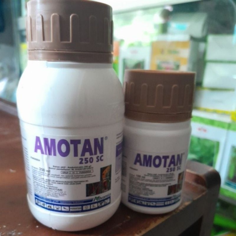 Amotan250ec