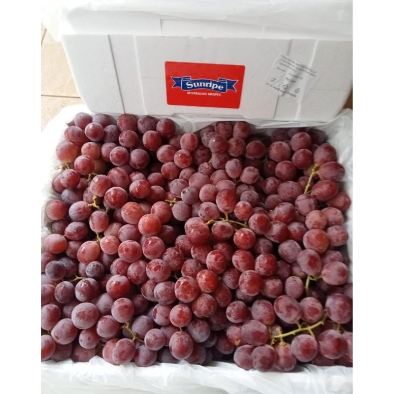 

Indukbuah Buah Anggur Red Globe Australia Manis 1 Box