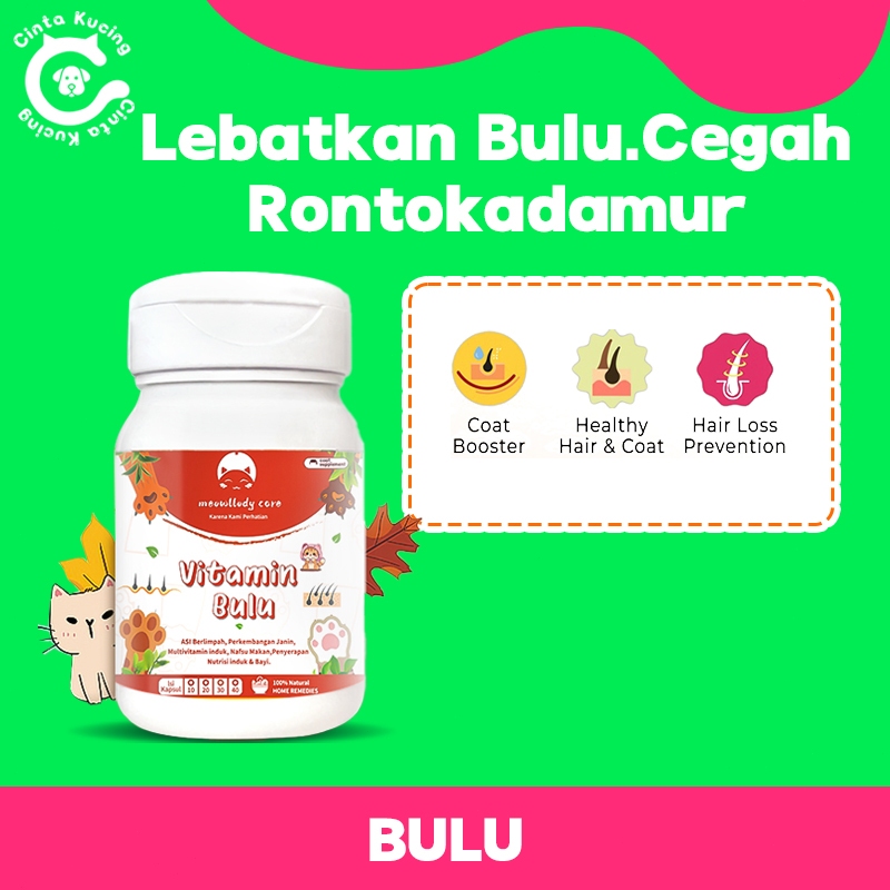 1Kaps Vitamin Kucing Untuk Pelebat Bulu Panjang Lebat Halus Warna Indah Cegah Jamur Ampuh Obat Pence