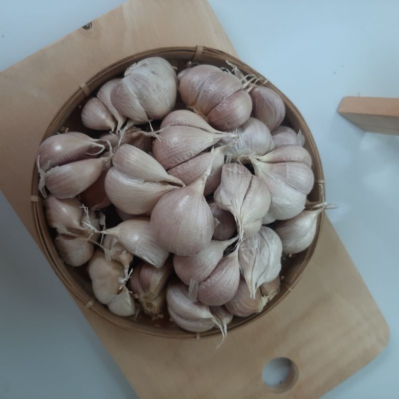 

ISB - Bawang Putih Kating Panen Baru 250 GRAM, 500 GRAM, 750 GRAM, 1 KG