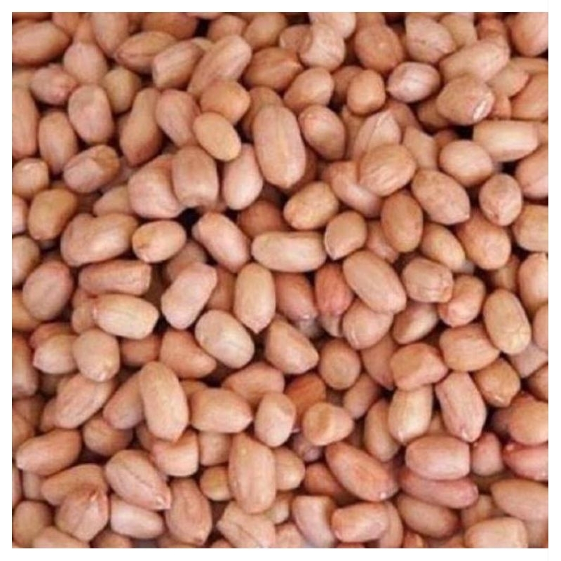 

KACANG TANAH 250gr