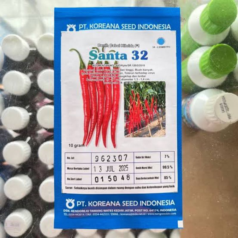 BENIH CABE BESAR SANTA F1 10 GRAM