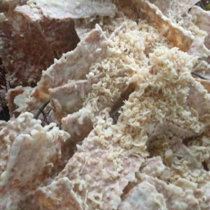 

Kripik tempe gurih renyah