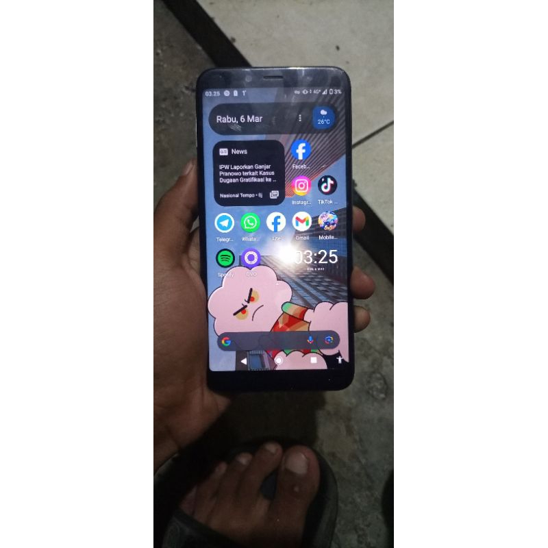 LCD COPOTAN MI A2 BIG / MI6X