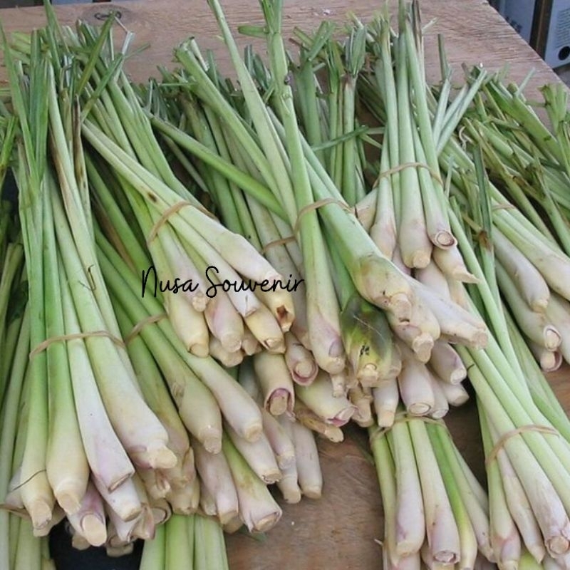 

Sereh Serai Segar (Lemon Grass) Petik langsung dari kebun