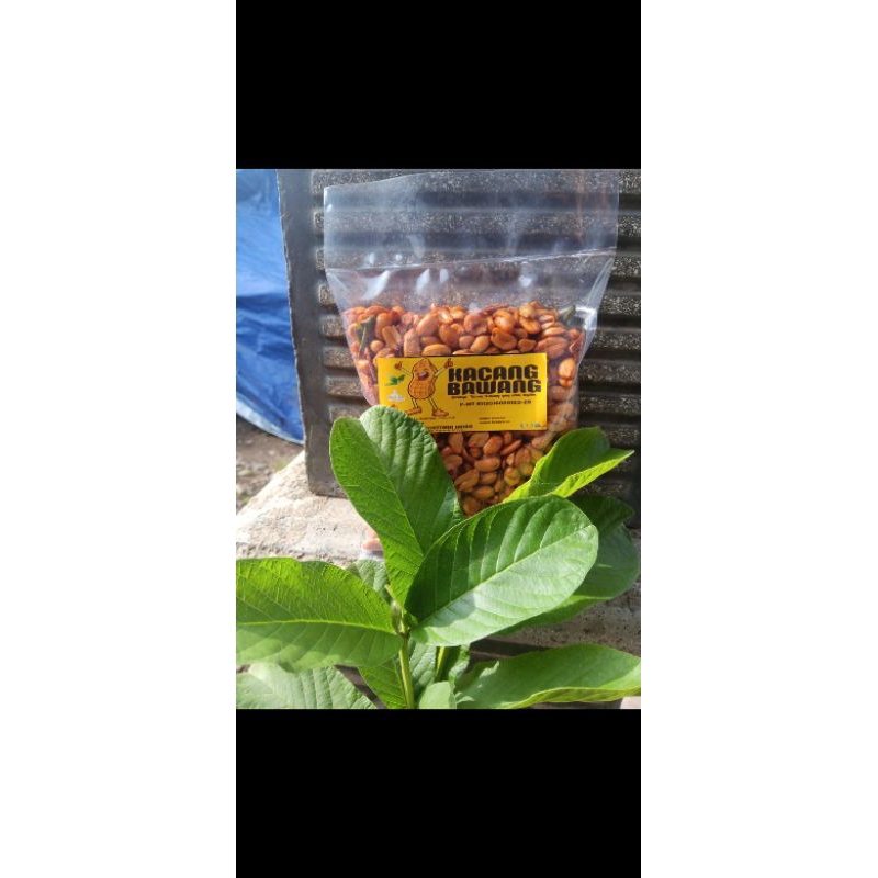 

Kacang Bawang