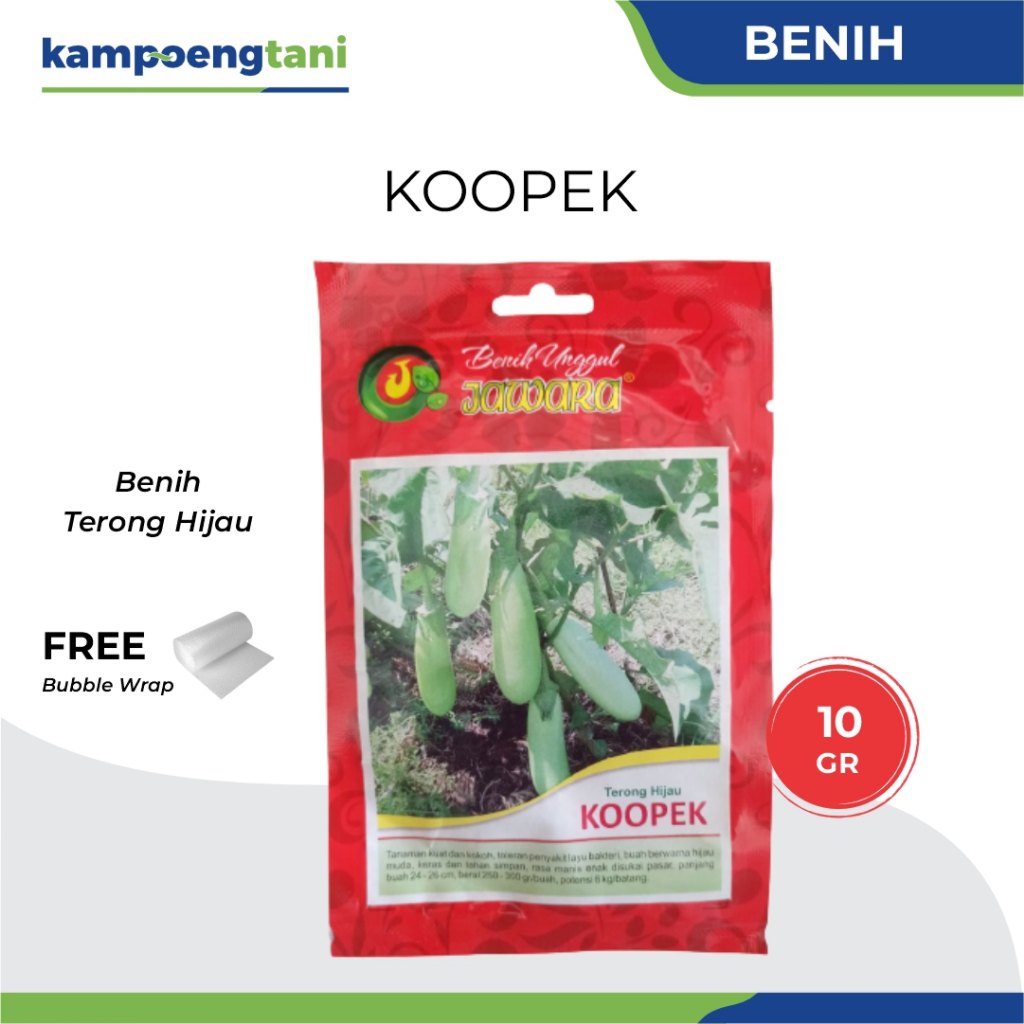 Kampoeng Tani - Benih Terong Hijau Kopek 10 gram BIbit Terong Koopek Benih Unggul Jawara
